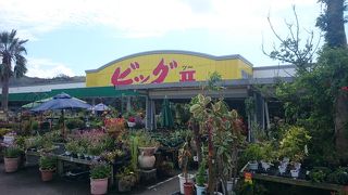 名瀬と空港の間にあるなんでも揃うお店