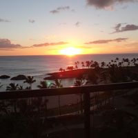 海に沈む夕陽が綺麗です。