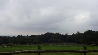 のんびり動物とふれあう　しかも無料