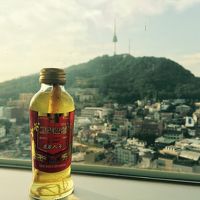 窓からの眺め。ファイト〜一発！