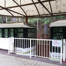 山麓駅での２両編成の軌道車両