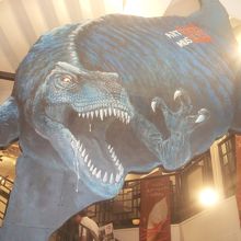恐竜展もやってたからか入り口にジュラシックワールドのラプター