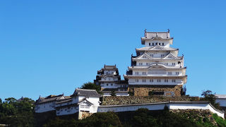 世界に見せたいしろがある