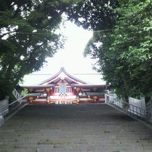 日枝神社山門を、山王男坂の階段を通して見ています。急勾配です