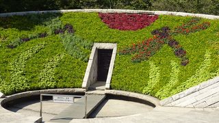 きれいにしてあります。