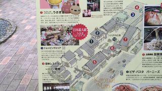 うさぎがいっぱい(^^)