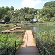 もえぎ野公園には大きな池があり、ふれあい樹林は自然林が残る憩いの場所です。