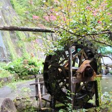 大橋コレクションがあるのは飛騨大鍾乳洞の敷地内