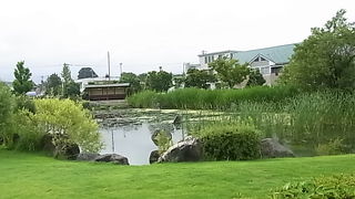 和の美しさを感じる快適で癒されます