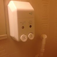 ボディシャンプーとシャンプー