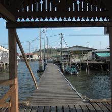 こんな木の板の道が張り巡らされる