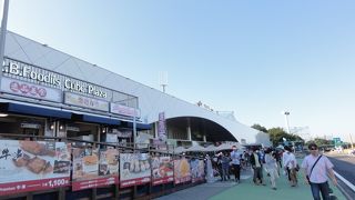 朝はのんびりムードでした