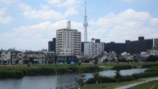 江東新橋付近がお勧めポイント