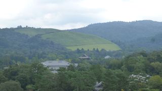 芝の綺麗な山です