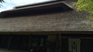 ゆったりランチでお腹いっぱい