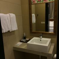 プラナカンタイルがあしらわれています