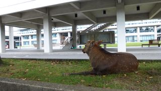 １０月の３連休にあるようです