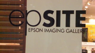 エプソンギャラリーは、愛好家の集まりの場から観光地的な場所と変貌しているかもしれません。