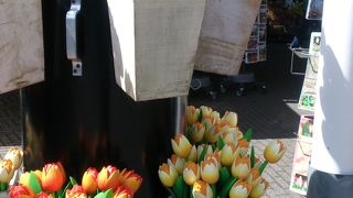 ちょっと一休みに、エントランスパビリオンのカフェ。