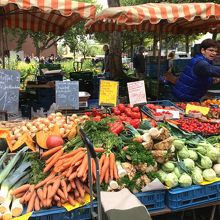 沢山の新鮮な野菜が並んでいます