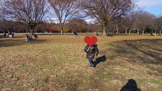 広いので子供をおもいっきり遊ばせられる