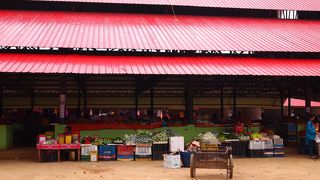 ビエンプーカー市場