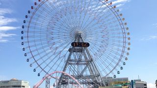 小さい子でも楽しめます