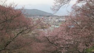 桜の時期を読むのはむずかしい