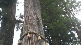 秩父キャンプで最強パワースポットへ！！