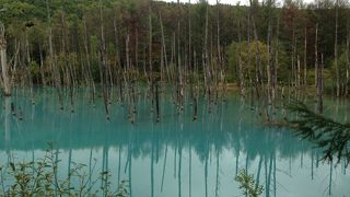 駐車場で並びました