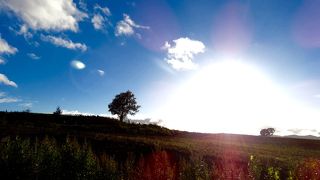 ポツンとたってました