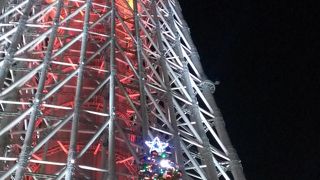 この時期もいい感じ★