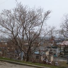 境内から宗谷海峡