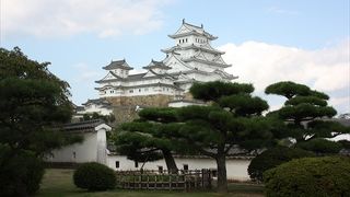 改装後の姫路城は今だけ