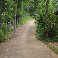 見えてきました