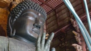 修学旅行生も多かったです。