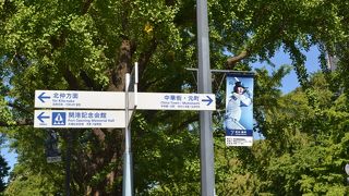 いろいろなイベントをしています