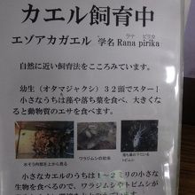 カエル研究の粋を見られます By ケロケロマニア 帯広百年記念館のクチコミ フォートラベル