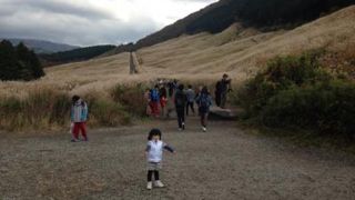 箱根・仙石原のススキ  神奈川県箱根町