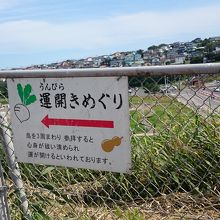 ３周するとよいそうです