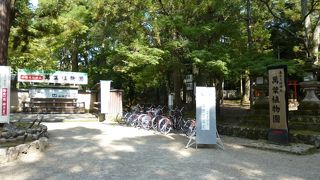 思い草が開花していました。