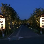 とんこつラーメンを学ぶ、見る、遊ぶ、食べる！