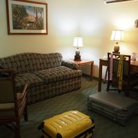 ランプが全部パイナップル！