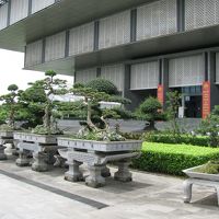 ハノイ国立博物館の盆栽