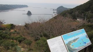 下田港と下田の街並みを一望