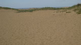 広くて雄大な砂丘でした。