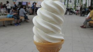 山川牧場のソフトクリーム