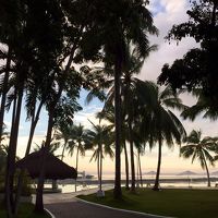 エントランスから眺めるプール