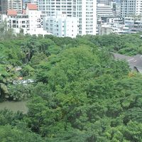 ホテルからの眺め