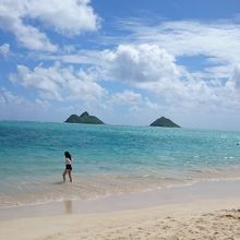 全米?１ビーチ！！！！！